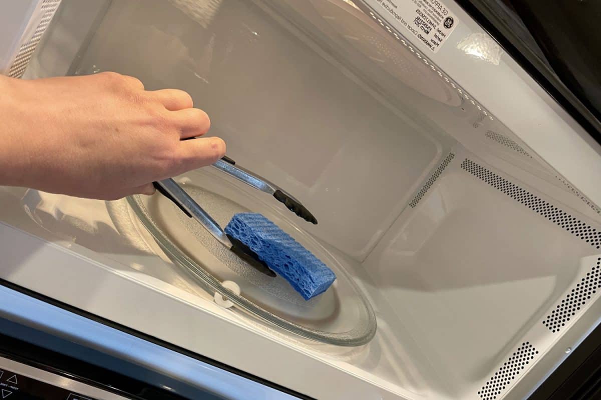A woman taking out a blue scotch brite sponge out of the oven