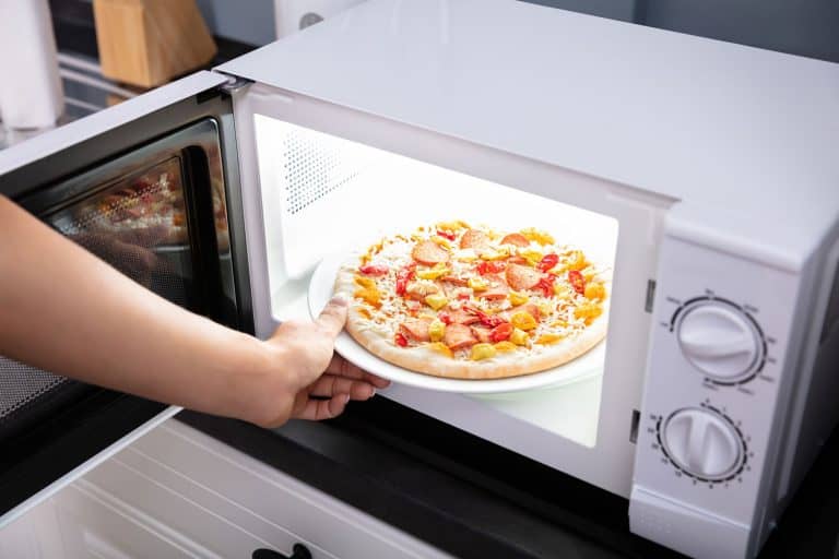 Close-up Of A Happy Woman reheating Pizza In Microwave Oven, How To Reheat Pizza In The Microwave