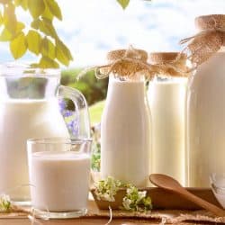 Glass containers filled with cow milk, What Is The Best Container To Store Milk?