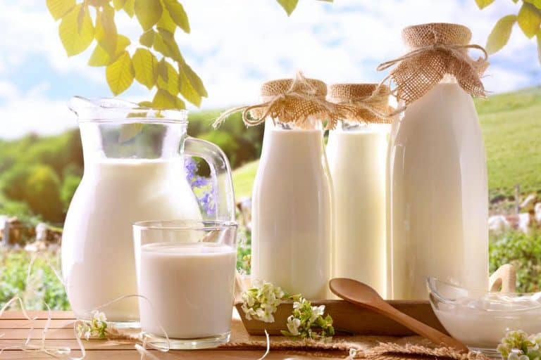 Glass containers filled with cow milk, What Is The Best Container To Store Milk?