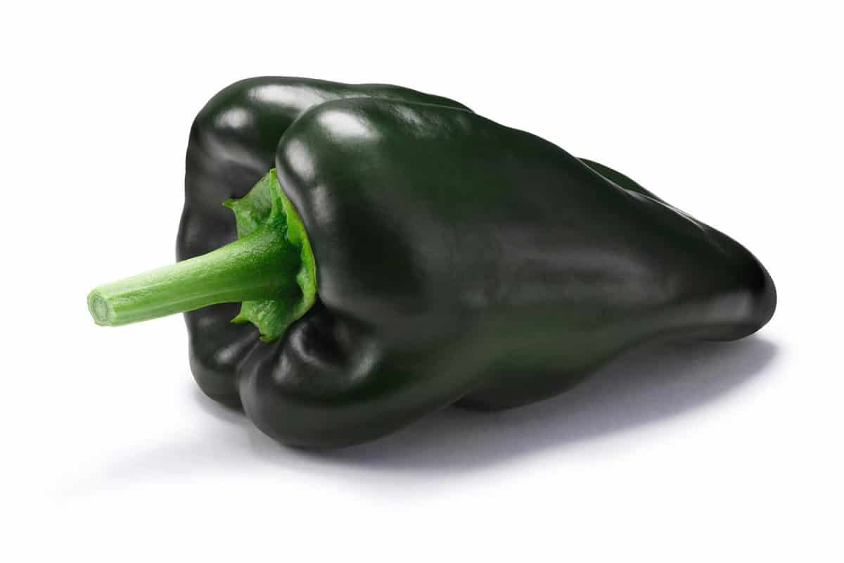 Green poblano or Ancho pepper