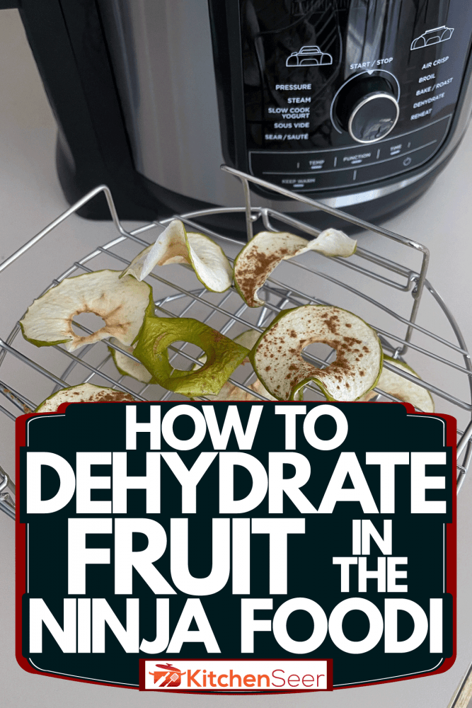 A small tray with dehydrated apples next to a Ninja Foodi air fryer, How To Dehydrate Fruit In The Ninja Foodi