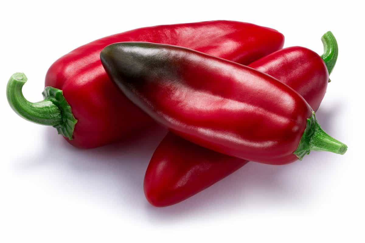 Ripe Anaheim California peppers