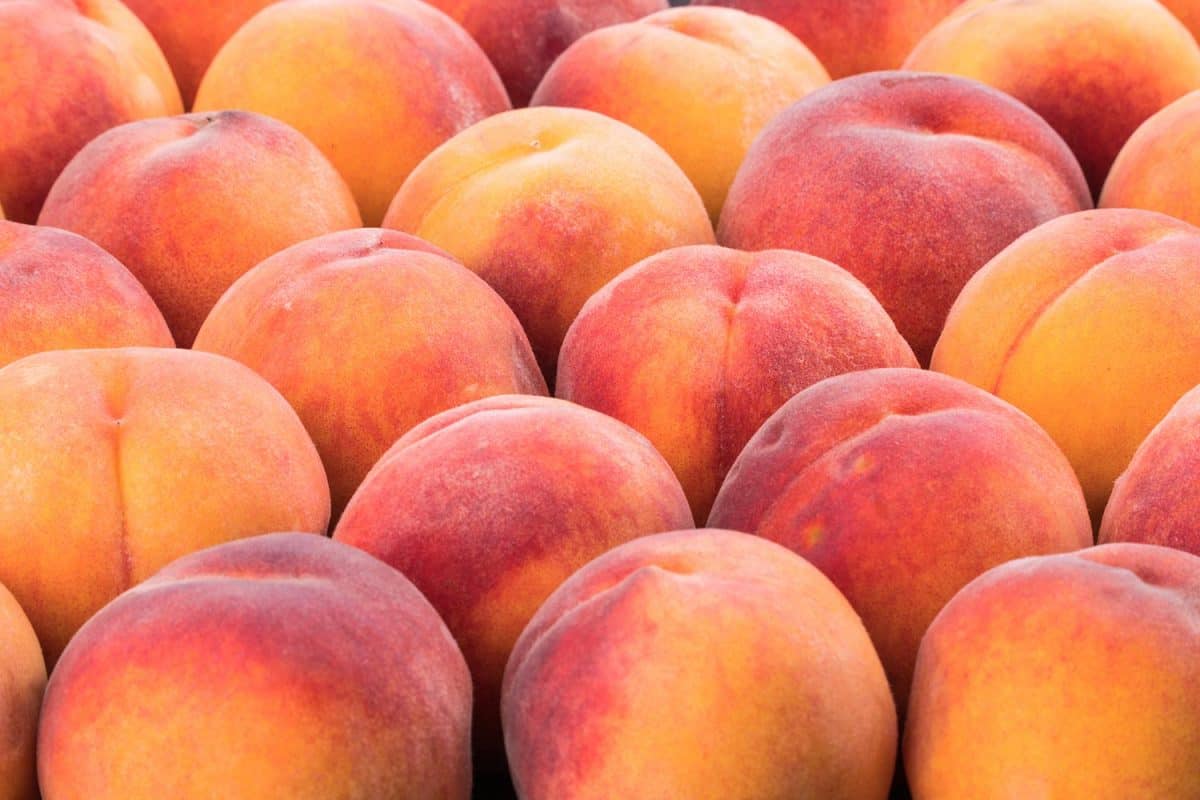 Selective focus of ripe peach fruit