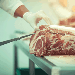 The-butcher-cutting-wagyu-beef-in-slaughterhouse.-Should-A-Boning-Knife-Be-Flexible-Or-Stiff-Straight-Or-Curved