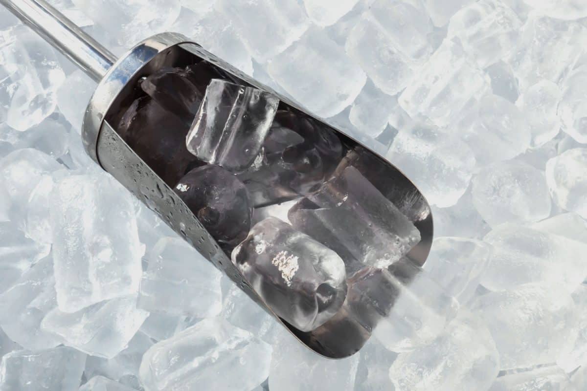 close up ice cubes and stainless ice scoop