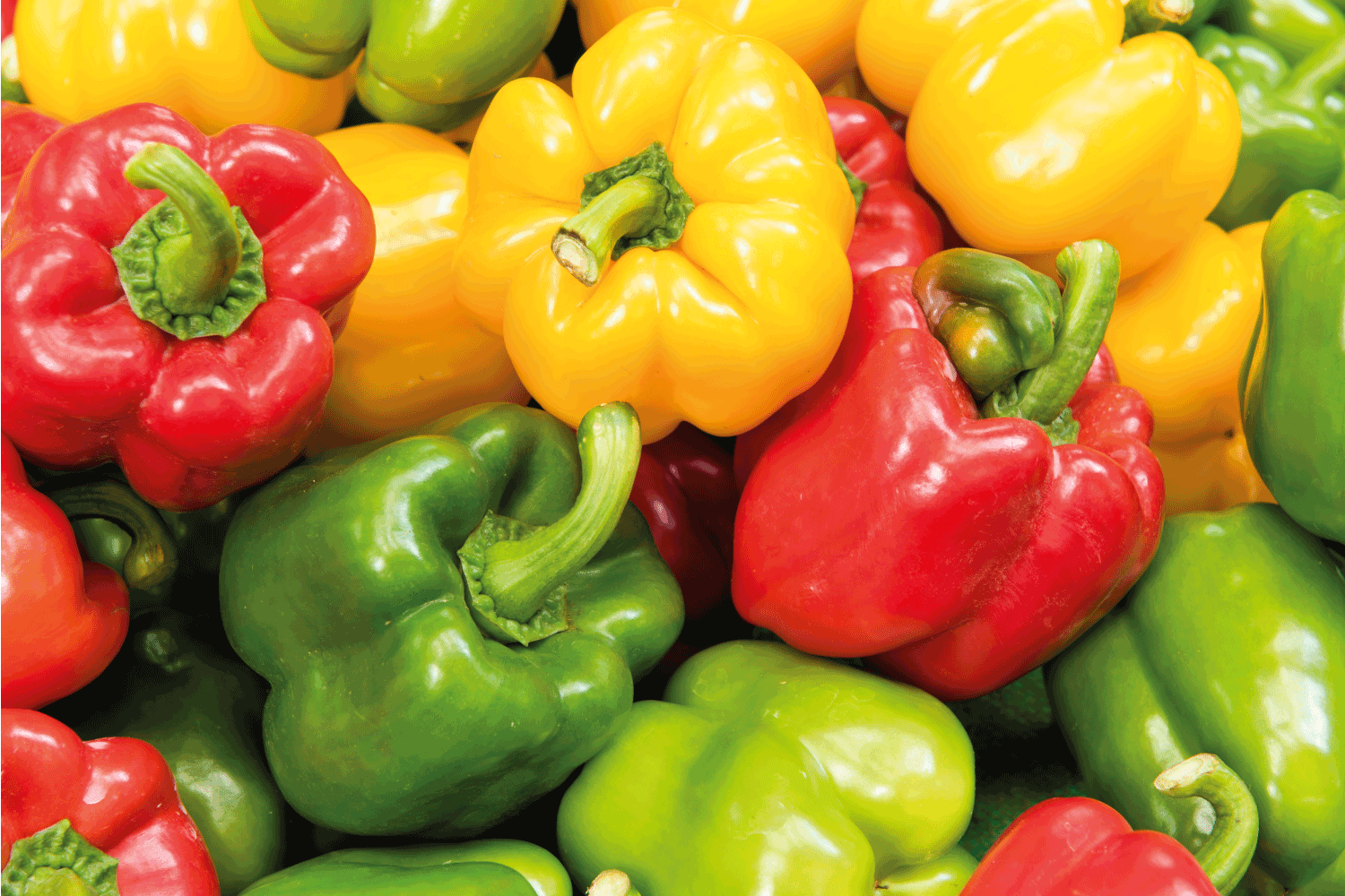 stack of bell peppers close up
