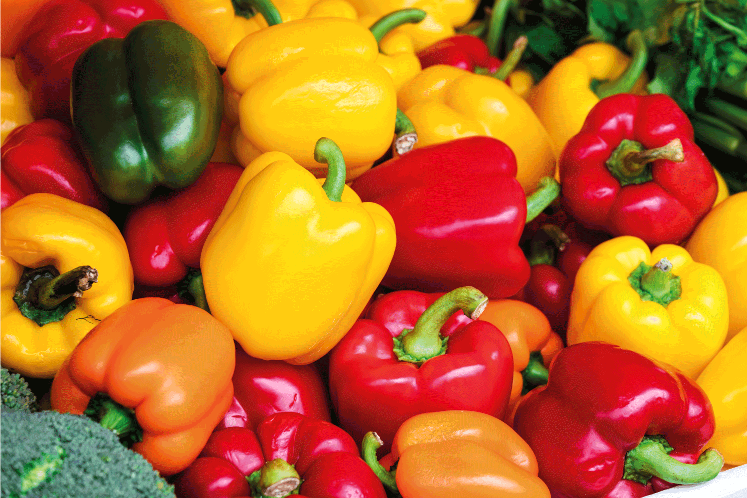sweet pepper on the street market