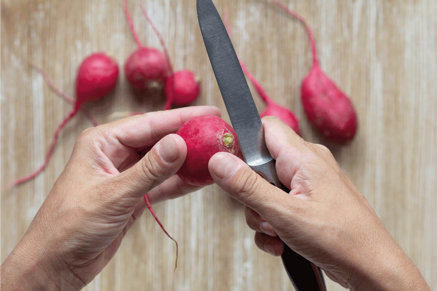 woman hand peeling off one red unpeeled radish before cutting on wooden background
