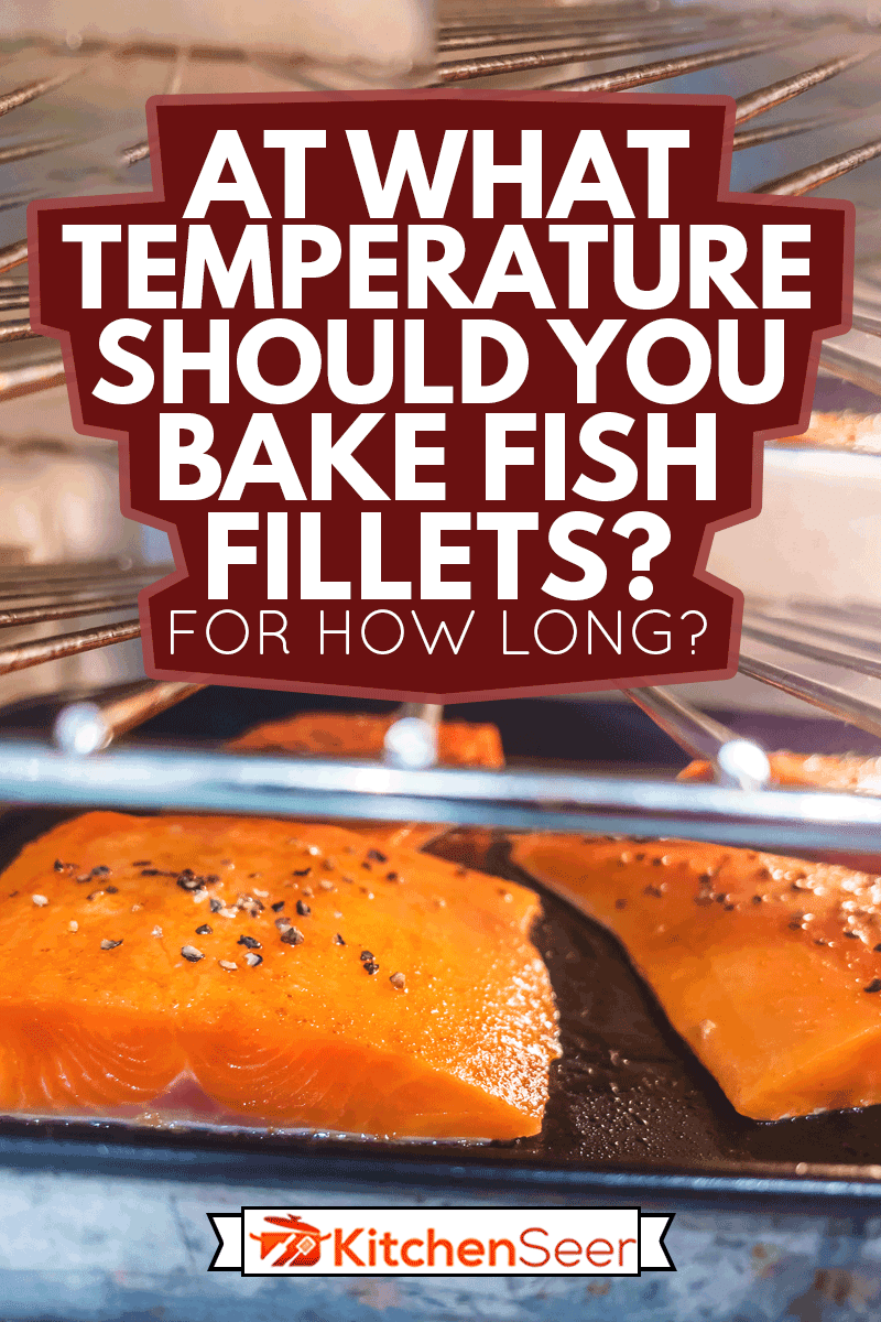 Wild Caught Healthy Salmon Steaks Prepared for Baking in Domestic Kitchen Oven, At What Temperature Should You Bake Fish Fillets? For How Long?