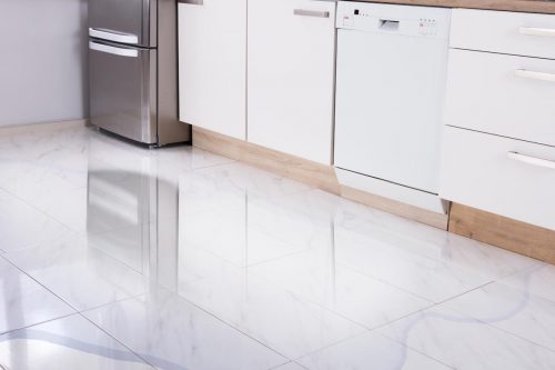 Read more about the article Can A Dishwasher Leak When Not Running?