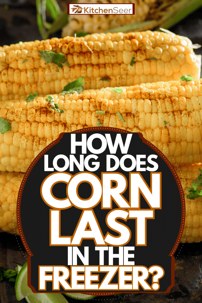 Steamed corn cobs garnished with mint and line on the sides, How Long Does Corn Last In The Freezer?