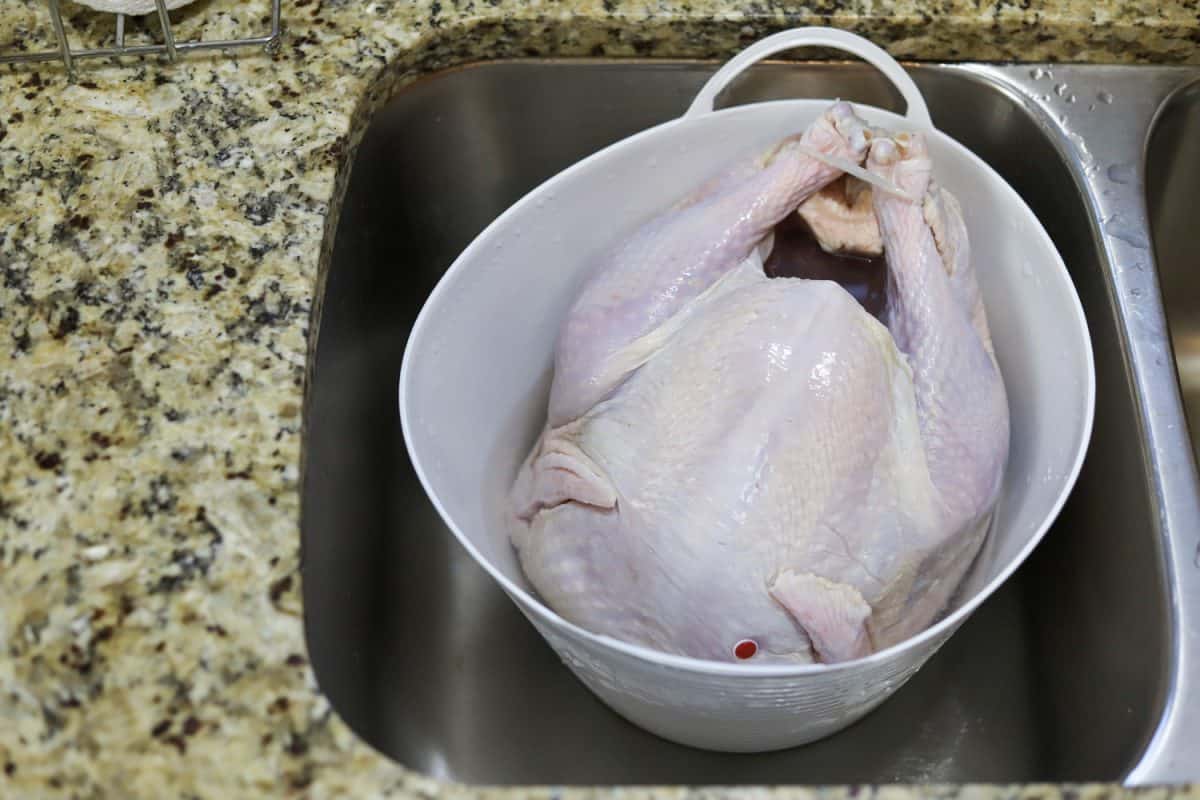A frozen organic turkey thawing in a kitchen sink
