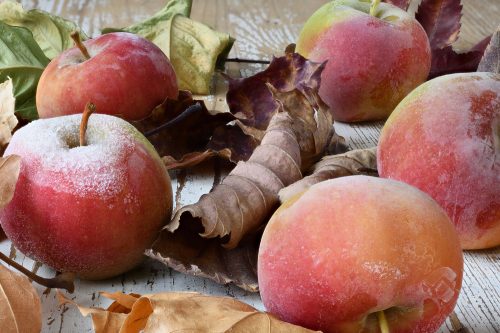 Read more about the article Can You Use Frozen Apples For Pies?