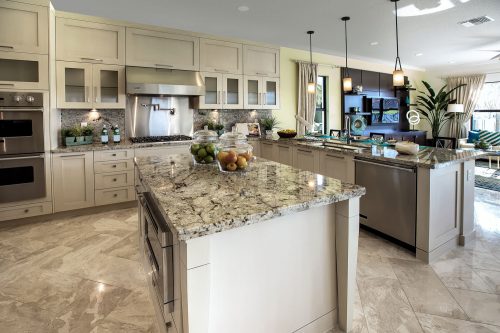 Read more about the article How To Remove Dishwasher From Under Granite Countertop