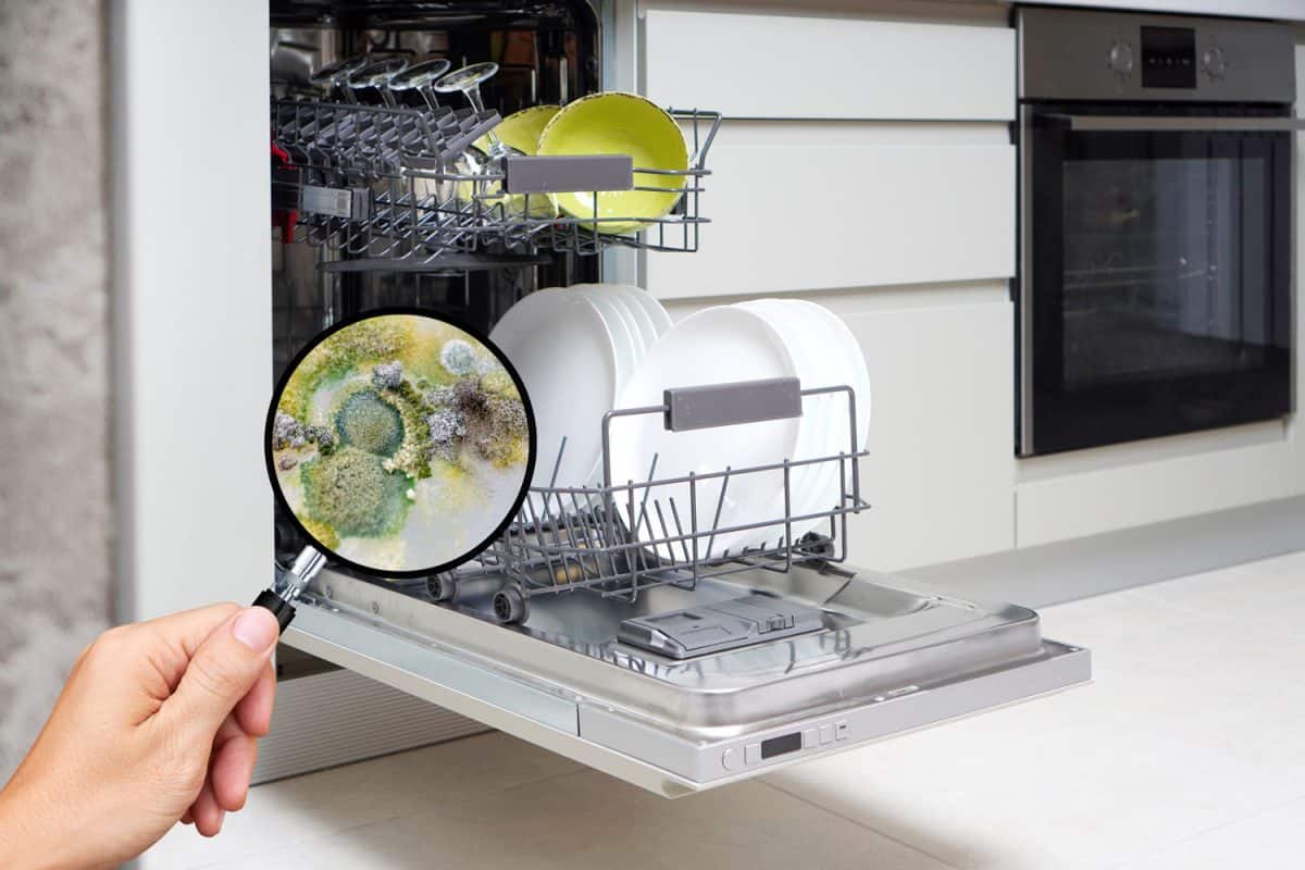 Built-in dishwasher machine in a modern kitchen with magnified molds inside, How To Get Rid Of Mold In A Dishwasher