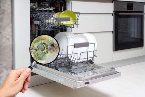 Read more about the article How To Get Rid Of Mold In A Dishwasher