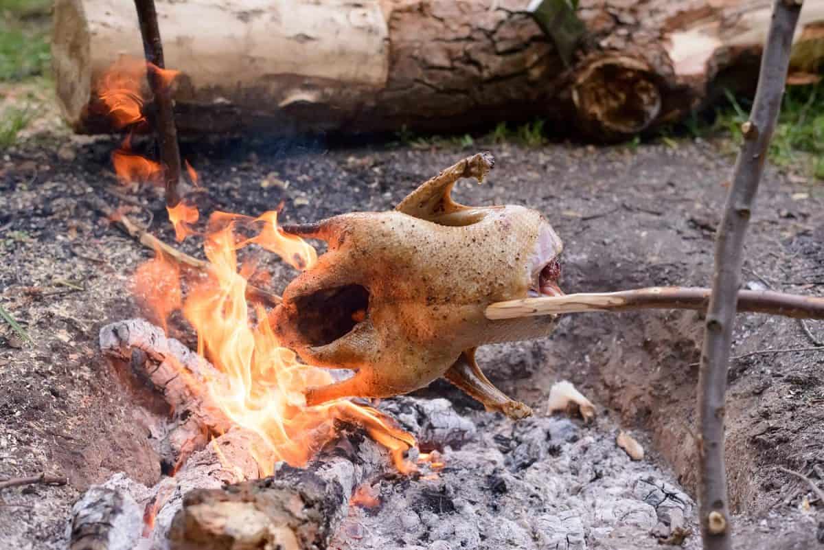 Chicken roasting over open camp fire