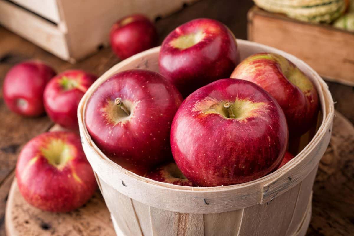 Delicious red apples in a container basket