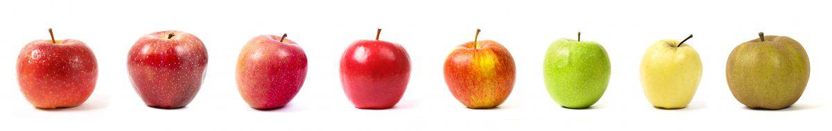 Different kinds of apples on a white background