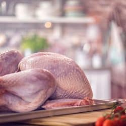 Fresh Raw Turkey Ready to be Prepared for Holidays, How Long Will A Turkey Last In The Freezer? [Everything You Need To Know!]