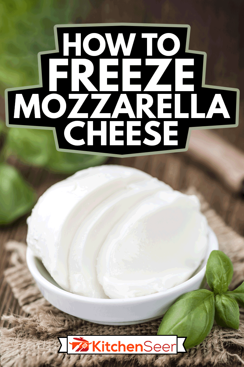 Big Mozzarella Ball as detailed close-up shot, How To Freeze Mozzarella Cheese