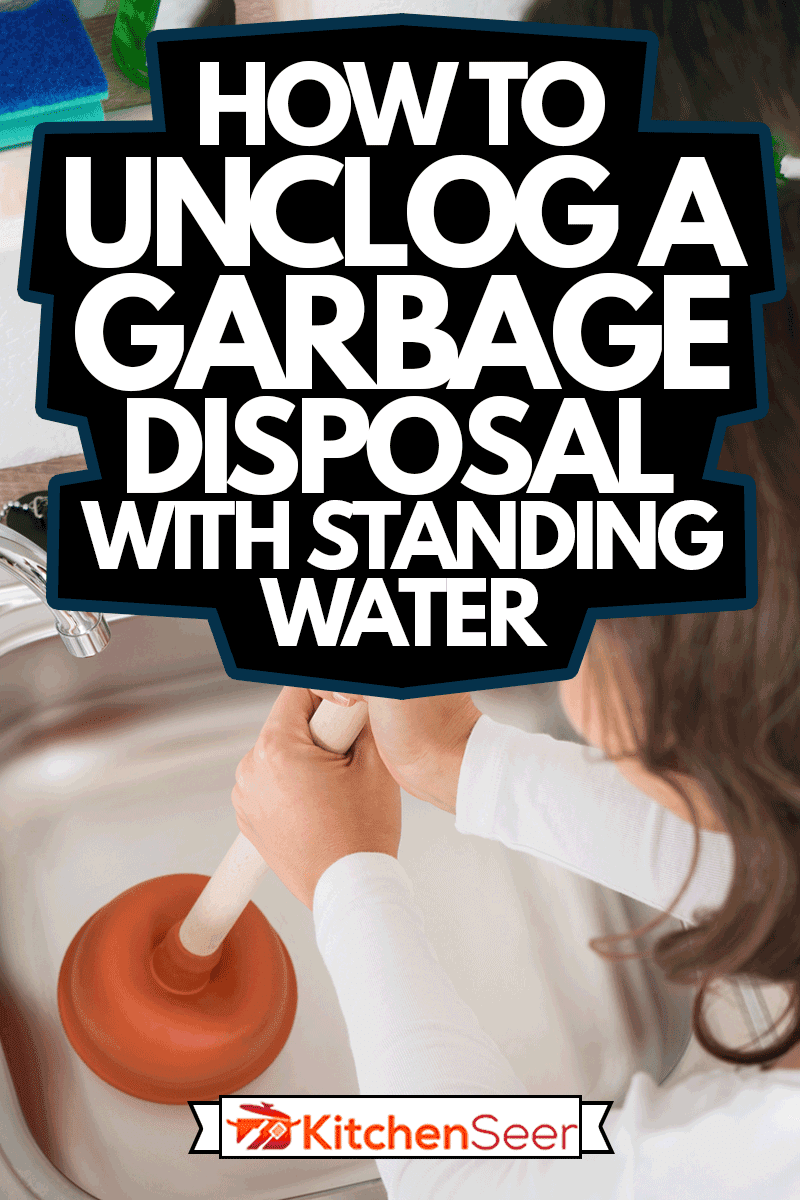 Woman Using Plunger In Sink, How To Unclog A Garbage Disposal With Standing Water