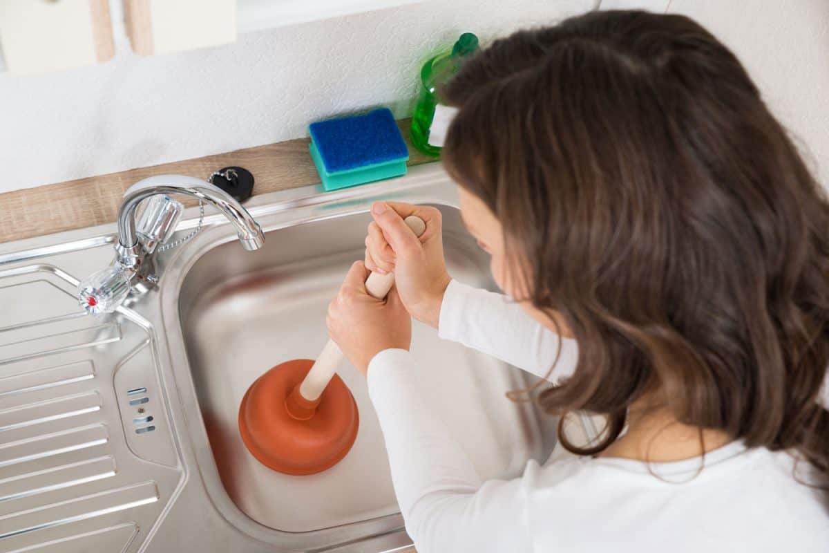 Woman Using Plunger In Sink, How To Unclog A Garbage Disposal With Standing Water