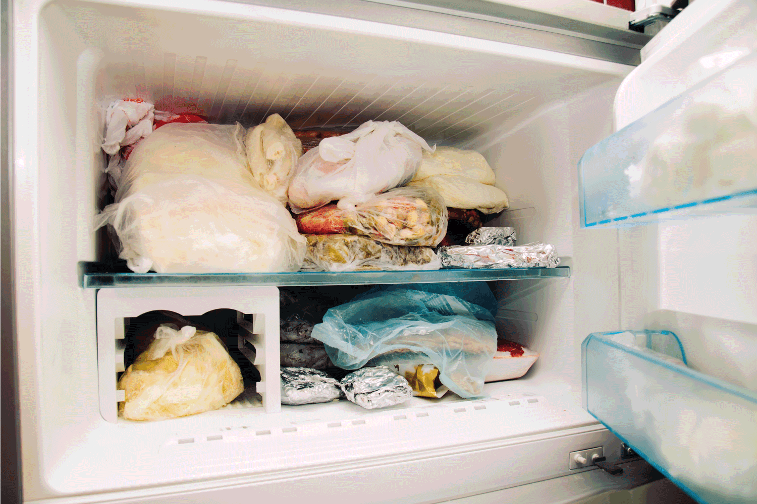 full Opened refrigerator in deepfreeze