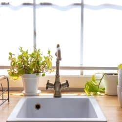 A small kitchen sink with wooden countertop decorated with plants near the window, Does a Kitchen Sink Need a Vent?