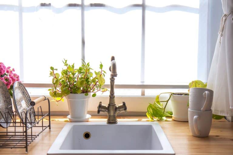 A small kitchen sink with wooden countertop decorated with plants near the window, Does a Kitchen Sink Need a Vent?