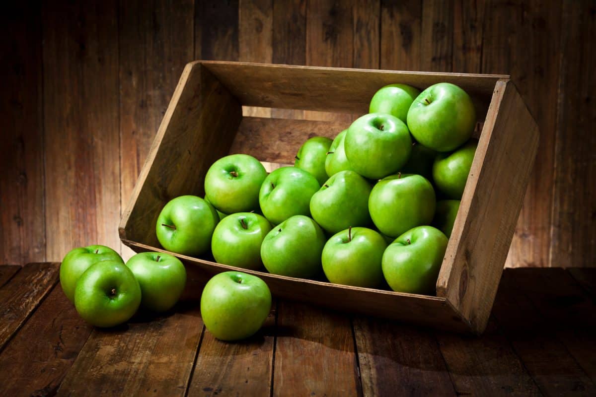 A wooden box filled with newly harvested green apples