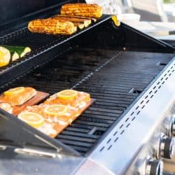 Grilling salmon on a gas burning grill on the backyard patio, How To Clean A Cuisinart Grill