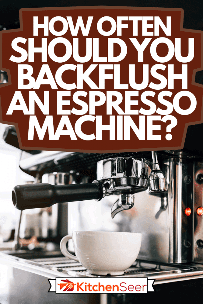 Close-up barista hand inserts the metal filter in the coffee machine, waiting for pouring hot black coffee inside a cup, How Often Should You Backflush An Espresso Machine?