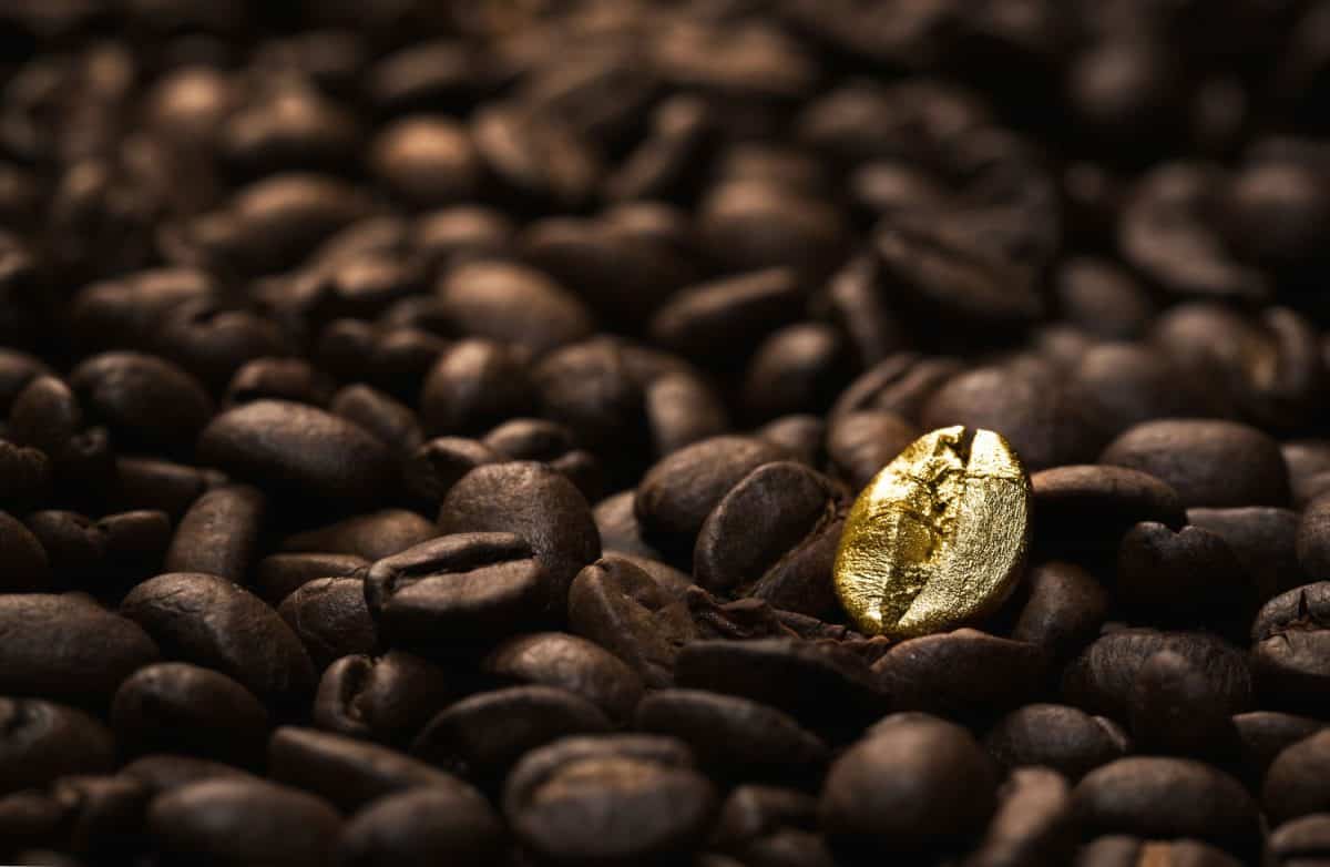 Individuality, standing out from a crowd concept, close up of a single bright, gold coffee bean over many dark ones