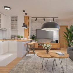A modern apartment with living room and kitchen, Should The Kitchen And Living Room Be The Same Color?