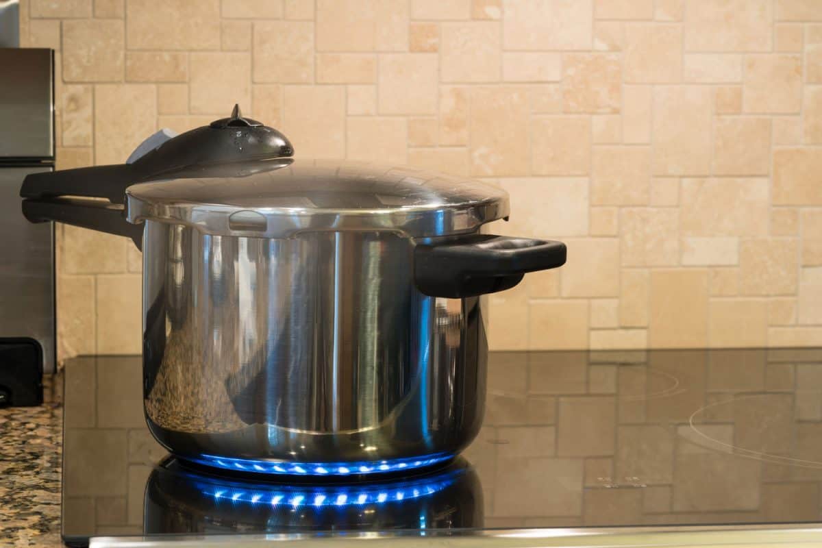 A mid sized stainless steel pressure cooker