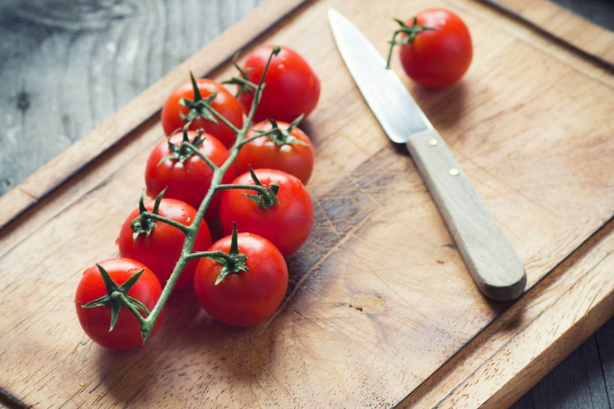 Fresh harvested tomatoes with a knife on the side on a chopping board