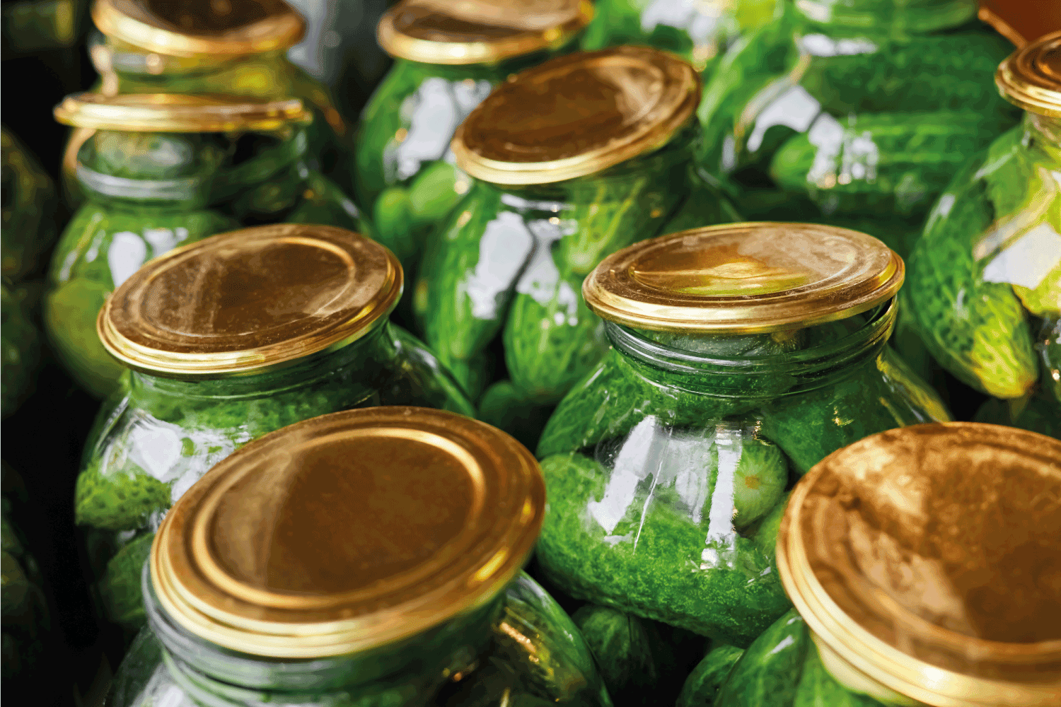 Preservation of fresh home cucumbers in glass jars