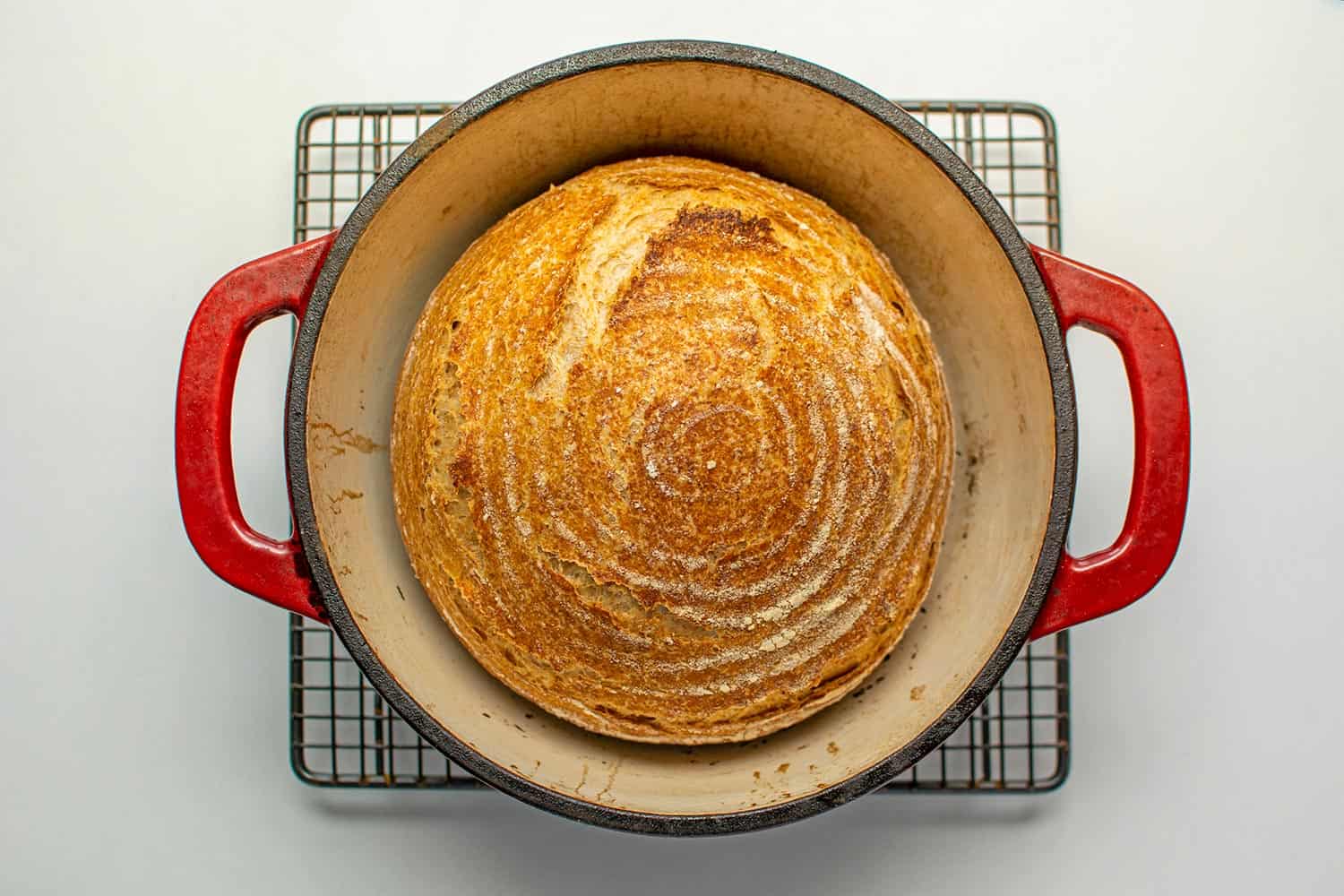 Whole wheat bread baked in dutch oven cast iron