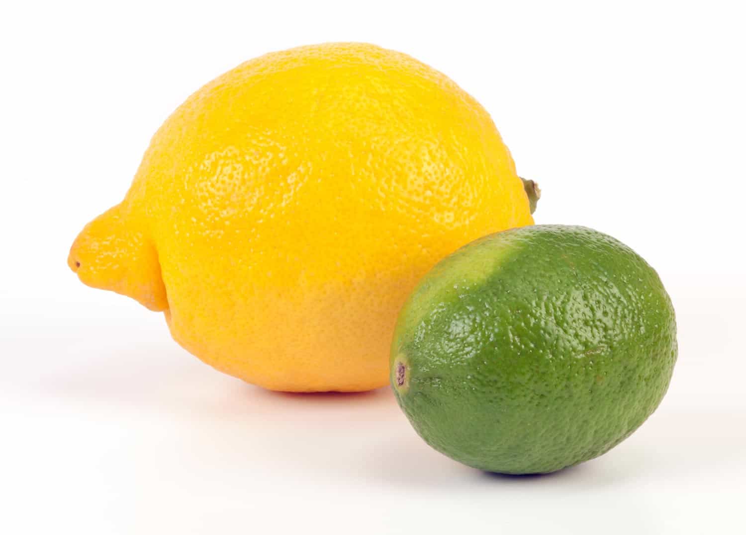 Limes and lemon on white background