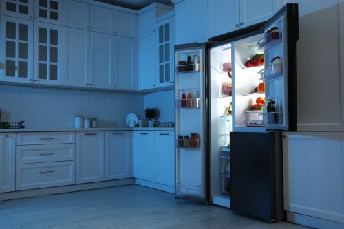 Read more about the article Can You Use Any Light Bulb In A Fridge?
