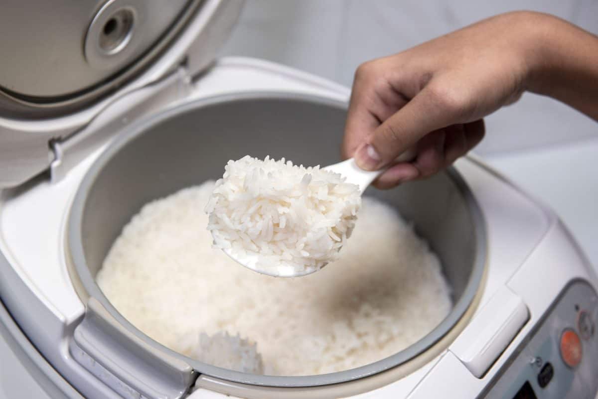Scoop the cooked rice in an electric cooker