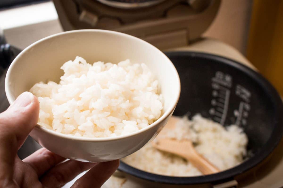 Woman taking a bowl of rice from the rice cooker