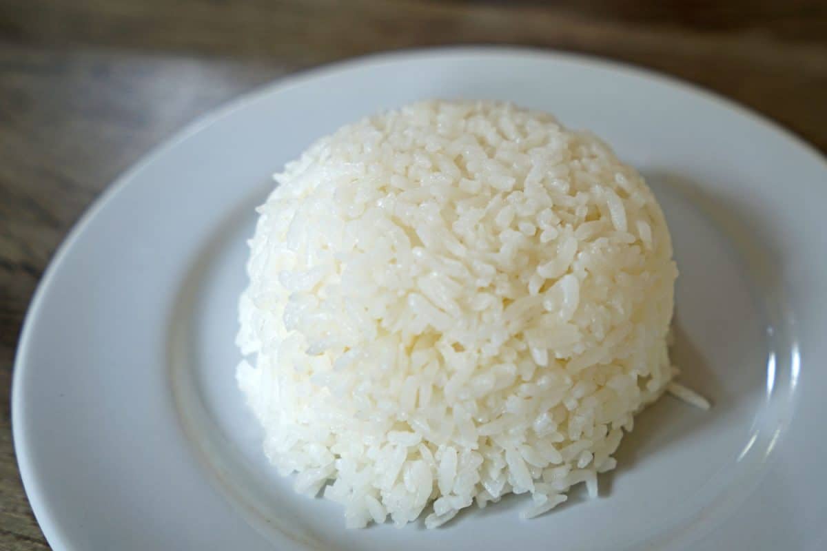 steamed white jasmine rice in a white plate