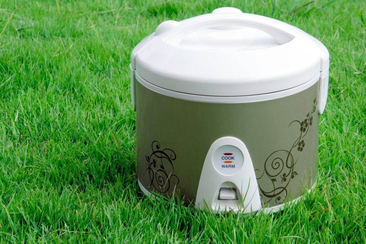 A rice cooker in the grass