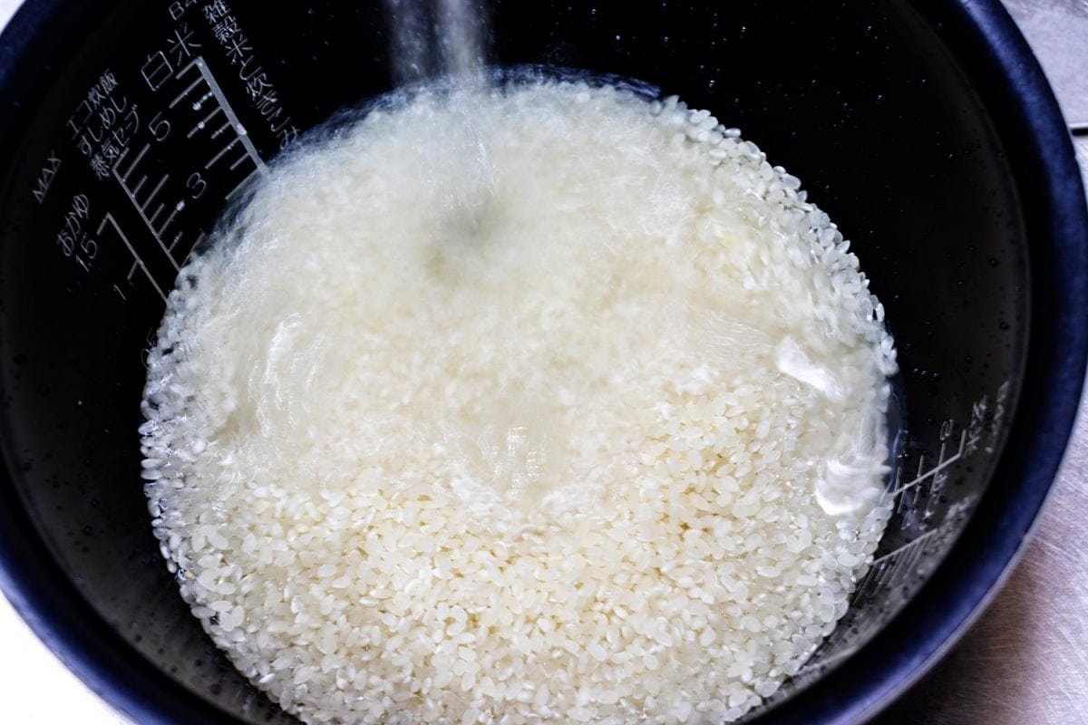 Add water in the white rice
