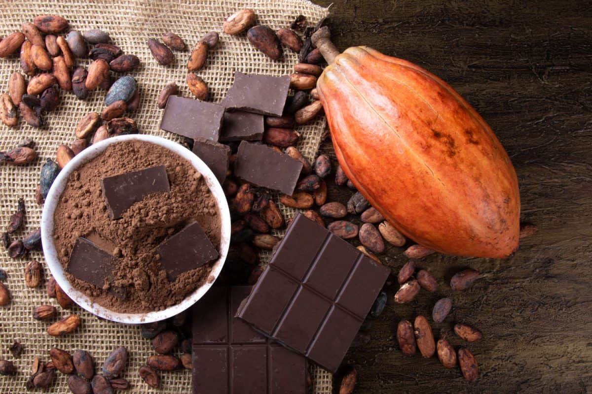 Cacao seeds next to chocolates