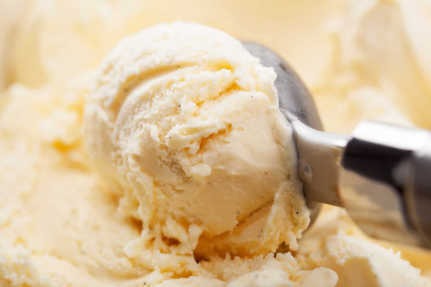 Close up of scoop of vanilla ice cream