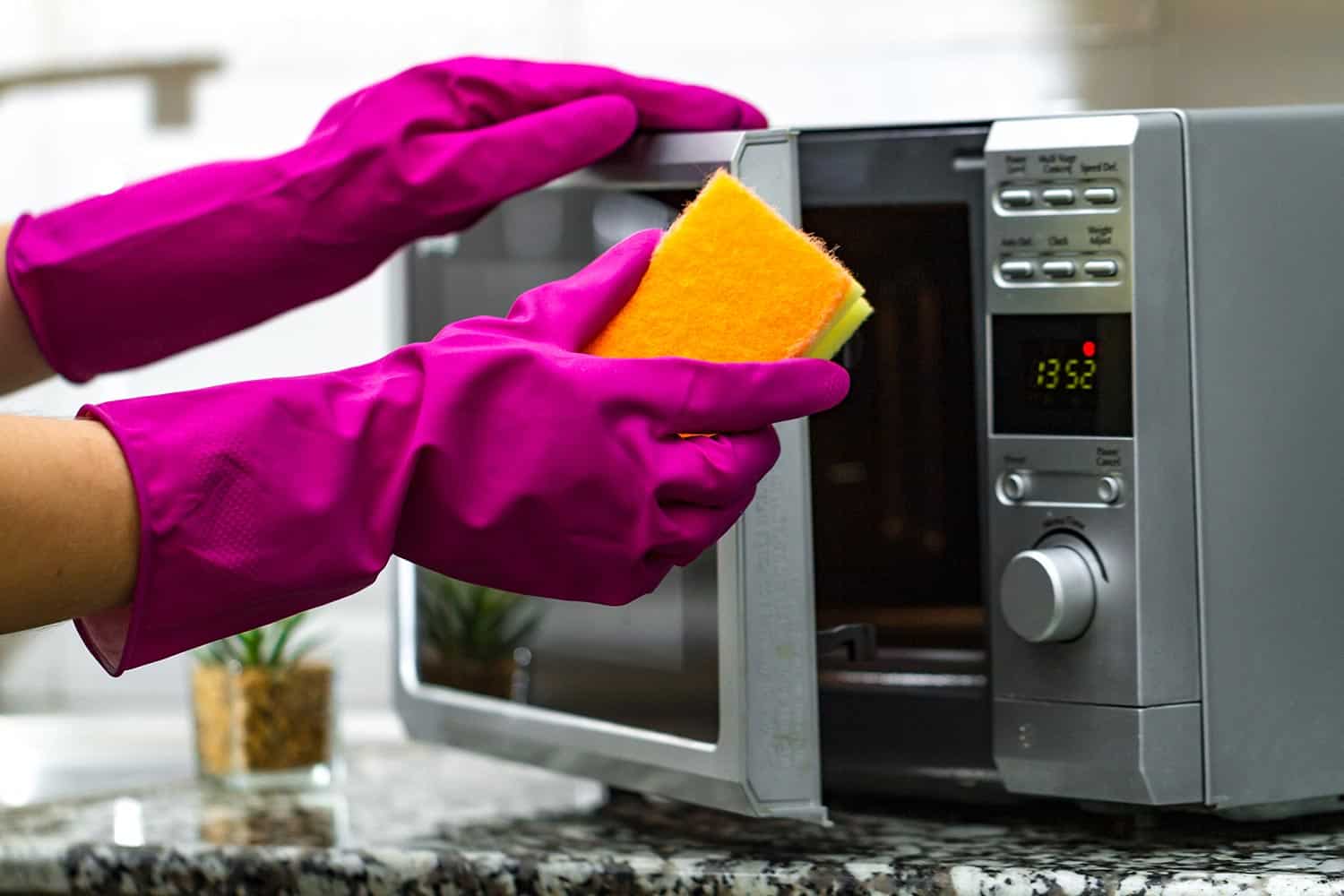 Housewife's hand in rubber gloves cleans the microwave using a sponge